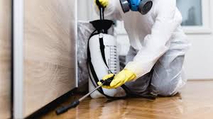 Best Fumigation Services  in Sandoval, IL